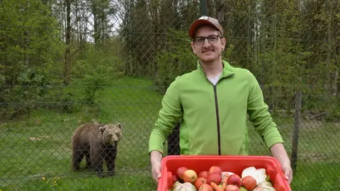 Luna y Ponderoso, dos osos pardos centroeuropeos, dejarán próximamente el recinto en el que han vivido toda su vida: el Coto Escolar de León. Allí han pasado 33 años en cautividad, convirtiéndose en los osos más longevos en su especie bajo supervisión humana en España. Su historia, cargada de afecto, debate y reivindicación, encuentra ahora un nuevo capítulo: serán trasladados al santuario Gnadenhof für Bären, en las afueras de Múnich (Alemania), un centro especializado en ofrecer segundas oportunidades a animales rescatados.