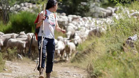 La Asociación Club de Producto Caminos Trashumantes, con la colaboración de la Junta Vecinal de Salamón y el Club de Montaña Pandetrave, organizan la jornada ‘Trashumancia sin barreras’. Foto: Peio García