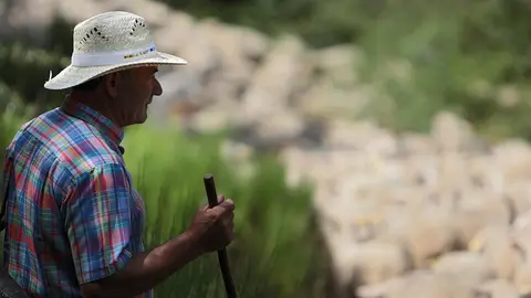 La Asociación Club de Producto Caminos Trashumantes, con la colaboración de la Junta Vecinal de Salamón y el Club de Montaña Pandetrave, organizan la jornada ‘Trashumancia sin barreras’. Foto: Peio García