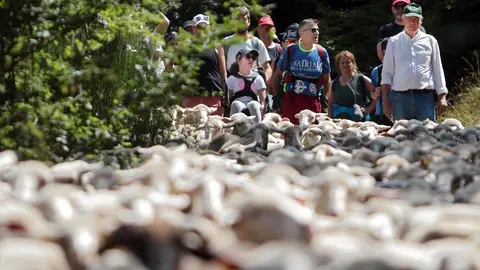 La Asociación Club de Producto Caminos Trashumantes, con la colaboración de la Junta Vecinal de Salamón y el Club de Montaña Pandetrave, organizan la jornada ‘Trashumancia sin barreras’. Foto: Peio García