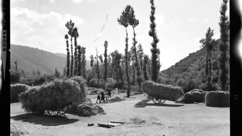 Escenas agrícolas entre Riaño y Portilla de la Reina [Valle con tiendas de campaña y carros de madera para tareas de labranza en el Parque nacional de Picos de Europa]