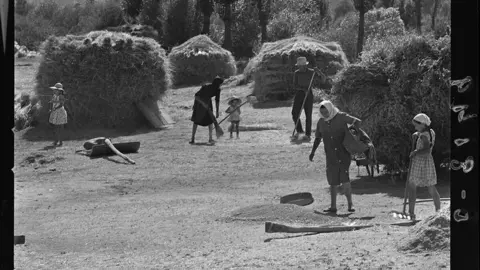 Escenas agrícolas entre Riaño y Portilla de la Reina [Valle labradores cargando heno en carros de madera en el Parque nacional de Picos de Europa]