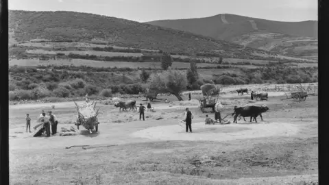 Escenas agrícolas entre Riaño y Portilla de la Reina [Valle con tiendas de campaña y carros de madera para tareas de labranza en el Parque nacional de Picos de Europa]