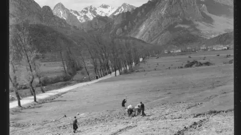 Riaño [Campos de cultivo a los pies de los Picos de Europa, en las inmediaciones del municipio de Riaño. Dos hombres y una mujer trabajas las tierras con la ayuda de una yunta de bueyes y un arado]