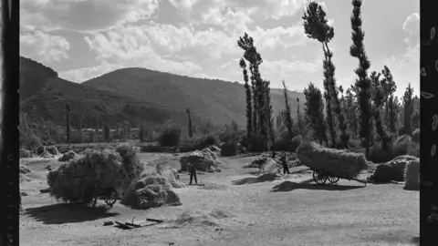 Escenas agrícolas entre Riaño y Portilla de la Reina [Valle labradores cargando heno en carros de madera en el Parque nacional de Picos de Europa]