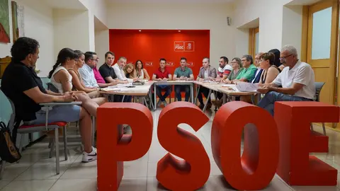 El secretario de Organización del Partido Socialista de Castilla y León, Daniel de la Rosa, mantiene una reunión de trabajo con el secretario de Organización del PSOE de León, Daniel San José. Foto: Campillo