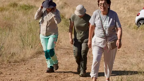 Los profesores de la Universidad de León Raquel Martínez Peñín y Carlos Fernández Rodríguez, directores de la campaña de excavación arqueológica en el Castro de los Judíos de Puente Castro, y la concejala de Cultura del Ayuntamiento de León, Elena Aguado, dan a conocer los trabajos de campo iniciados en el yacimiento. Fotos: Campillo