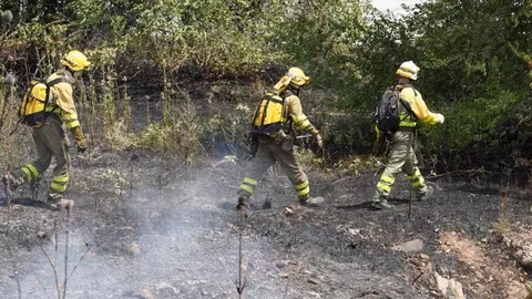 Medios personales y técnicos terrestres y aéreos han tenido que intervenir este viernes en la extinción de un incendio declarado en las proximidades del Complejo Asistencial Universitario de León. Fotos: Campillo