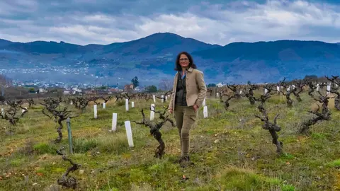 Consuelo Ysart, presidenta de 'Bierzo Enoturismo'. Foto: César Sánchez