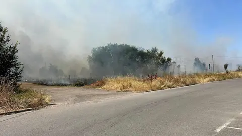 Un gran incendio en la pedanía de Armunia, en León capital, ha movilizado moviliza a numerosos efectivos. El incendio se ha declarado en las inmediaciones de la barriada leonesa ha movilizado a medios aéreos y terrestres. Foto: A. Arias | Isabel Alonso