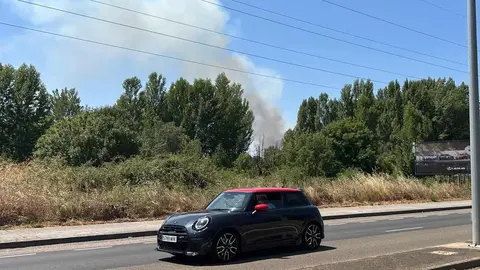 Un gran incendio en la pedanía de Armunia, en León capital, ha movilizado moviliza a numerosos efectivos. El incendio se ha declarado en las inmediaciones de la barriada leonesa ha movilizado a medios aéreos y terrestres. Foto: A. Arias | Isabel Alonso