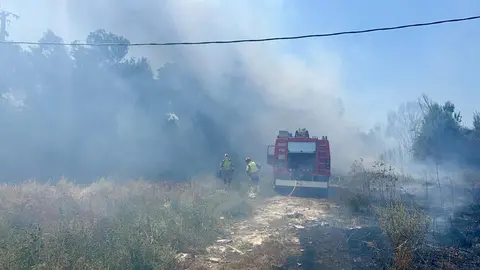 Incendio frente a la Escuela de Ingeniería Agraria y Forestal de León. Foto: Campillo