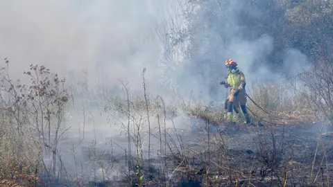 Incendio frente a la Escuela de Ingeniería Agraria y Forestal de León. Foto: Campillo