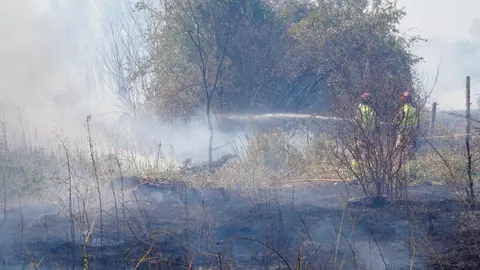 Incendio frente a la Escuela de Ingeniería Agraria y Forestal de León. Foto: Campillo