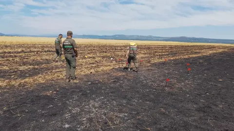 Agentes medioambientales durante la investigación del incendio de Ferreras de Cepeda.