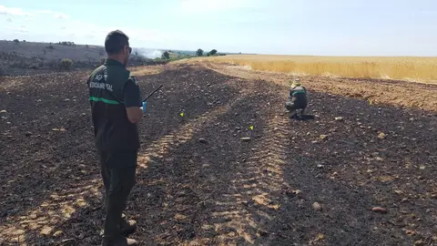 Agentes medioambientales durante la investigación del incendio de Ferreras de Cepeda.