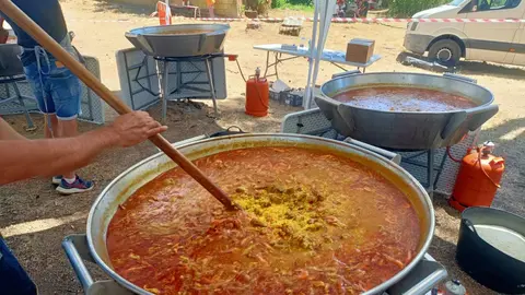 El pantano de Villameca, en el municipio leonés de Quintana del Castillo, se convierte este fin de semana en el corazón festivo de la comarca con motivo de la 40ª edición de la Fiesta Comarcal de La Cepeda. El evento, que nació como un encuentro para fomentar la convivencia entre los pueblos de la zona, se ha consolidado como una de las grandes citas del verano en la provincia de León. Fotos: Marisol