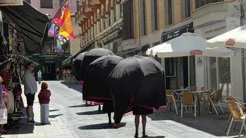 El Colectivo de Mujeres Creadoras sorprendió a los viandantes con una puesta en escena cargada de simbolismo y emoción, en la que el duelo se transforma en fuerza colectiva. Foto: AytoLeón