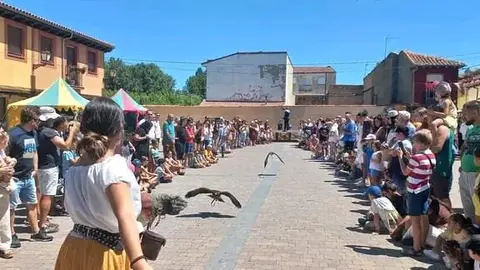 Las XXX Jornadas Medievales de Mansilla de las Mulas ya han vivido una jornada de sábado repleta de historia, espectáculo y participación ciudadana. Desde primera hora de la mañana, las calles del casco histórico se llenaron de puestos artesanales, pendones, trajes de época y música, en un ambiente festivo y evocador que transportó al público hasta la Edad Media.