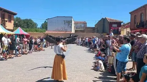 Las XXX Jornadas Medievales de Mansilla de las Mulas ya han vivido una jornada de sábado repleta de historia, espectáculo y participación ciudadana. Desde primera hora de la mañana, las calles del casco histórico se llenaron de puestos artesanales, pendones, trajes de época y música, en un ambiente festivo y evocador que transportó al público hasta la Edad Media.