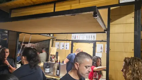 Un total de 15 bodegas de la Denominación de Origen León participan, desde este viernes y hasta el domingo, en la XXII edición de la Feria del Vino de Valencia de Don Juan. Foto: Fernando Oliver.