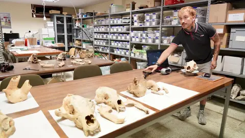Investigadores de la Universidad de León y del Museo Nacional de Ciencias Naturales presentan la primera Campaña de recuperación de restos de fauna del Cuaternario en cuevas de la provincia. Foto: Campillo