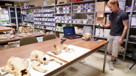 Investigadores de la Universidad de León y del Museo Nacional de Ciencias Naturales presentan la primera Campaña de recuperación de restos de fauna del Cuaternario en cuevas de la provincia. Foto: Campillo