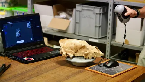 Investigadores de la Universidad de León y del Museo Nacional de Ciencias Naturales presentan la primera Campaña de recuperación de restos de fauna del Cuaternario en cuevas de la provincia. Foto: Campillo