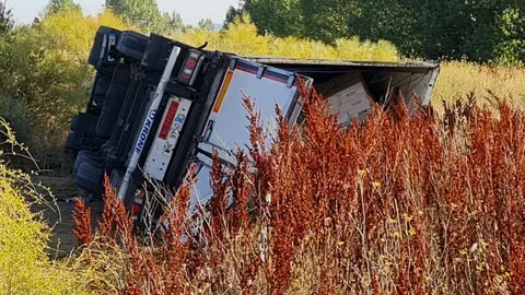Imagen del camión volcado en la madrugada de este miércoles en en la LE-11, en la glorieta del punto limpio de León.