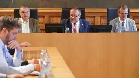 Pleno ordinario de la Diputación de León, en cuyo orden del día se encuentra la toma de posesión de dos nuevos diputados. Foto: Campillo.
