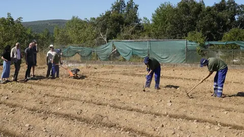 El presidente del Consejo Comarcal del Bierzo, Olegario Ramón, junto a la consejera comarcal de Formación y Empleo, Laura Fernández, el concejal de Acción Rural de Carracedelo, Daniel Morán, y el gerente de Alimentos de Calidad del Bierzo, Pablo Linares, durante la presentación del programa 'Agromentoring'. Foto: César Sánchez.