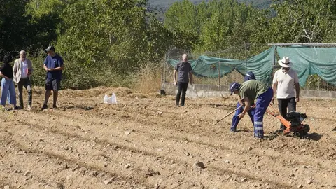 El presidente del Consejo Comarcal del Bierzo, Olegario Ramón, junto a la consejera comarcal de Formación y Empleo, Laura Fernández, el concejal de Acción Rural de Carracedelo, Daniel Morán, y el gerente de Alimentos de Calidad del Bierzo, Pablo Linares, durante la presentación del programa 'Agromentoring'. Foto: César Sánchez.