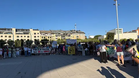 Las protestas contra la planta de biomasa en Puente Castro este miércoles ante la Junta.