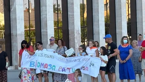 Las protestas contra la planta de biomasa en Puente Castro este miércoles ante la Junta.