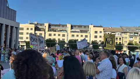 Las protestas contra la planta de biomasa en Puente Castro este miércoles ante la Junta.