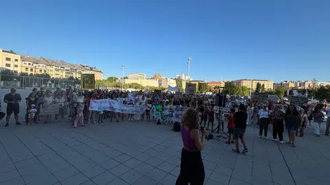 Las protestas contra la planta de biomasa en Puente Castro este miércoles ante la Junta.