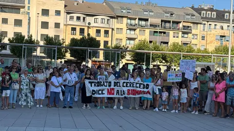 Las protestas contra la planta de biomasa en Puente Castro este miércoles ante la Junta.