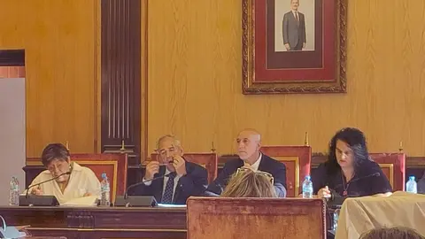 Protestas contra la planta de biomasa en el pleno municipal de León