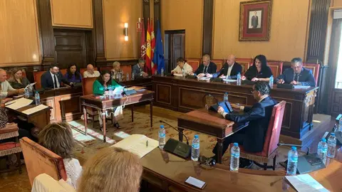 Protestas contra la planta de biomasa en el pleno municipal de León