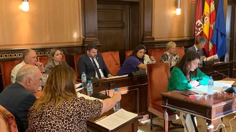 Protestas contra la planta de biomasa en el pleno municipal de León