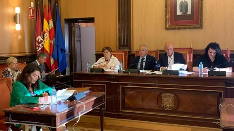 Protestas contra la planta de biomasa en el pleno municipal de León