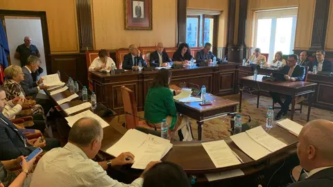 Protestas contra la planta de biomasa en el pleno municipal de León