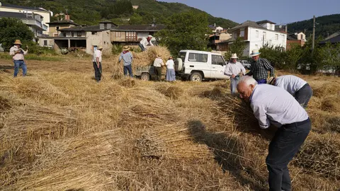 VI Malla popular en Corullón (León). Foto: César Hornija.