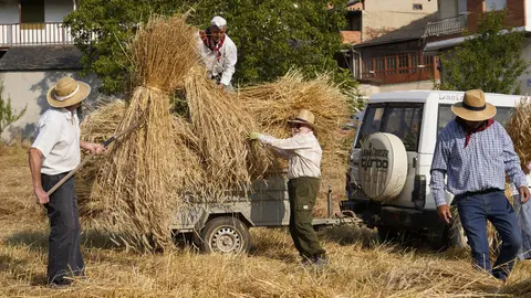 VI Malla popular en Corullón (León). Foto: César Hornija.