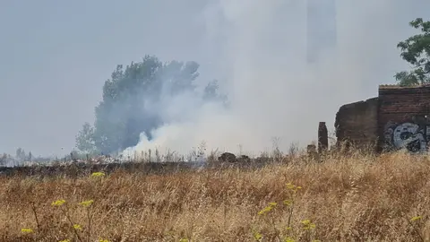 Los Bomberos sofocan un conato de incendio junto al Hospital de León. Foto: M.C.
