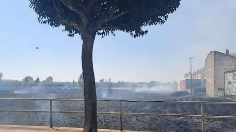 El fuego se ha declarado en el área urbana pendiente de urbanización junto al Palacio de Congresos y Exposiciones afectando a matorral. Foto: A.V.