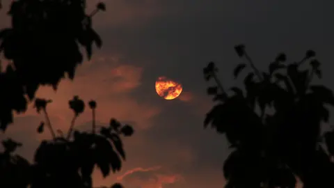 El humo de los incendios provoca un ocaso teñido de rojo en León. Foto: Peio García