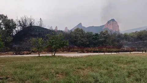 Las Médulas, Patrimonio de la Humanidad, devastadas por el fuego: centenares de castaños centenarios arrasados. El incendio arrasa el emblemático paraje y deja tras de sí un paisaje desolador que enluta a la comunidad local. Fotos de Diputación de León