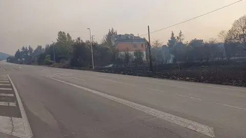 Las Médulas, Patrimonio de la Humanidad, devastadas por el fuego: centenares de castaños centenarios arrasados. El incendio arrasa el emblemático paraje y deja tras de sí un paisaje desolador que enluta a la comunidad local. Fotos de Diputación de León