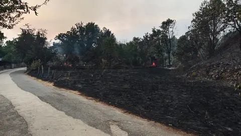 Las Médulas, Patrimonio de la Humanidad, devastadas por el fuego: centenares de castaños centenarios arrasados. El incendio arrasa el emblemático paraje y deja tras de sí un paisaje desolador que enluta a la comunidad local. Fotos de Diputación de León